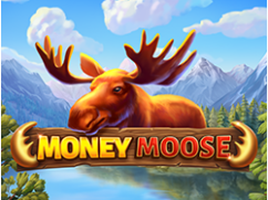 Money Moose booming