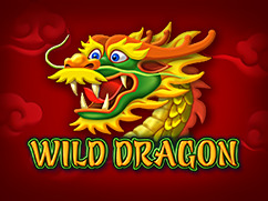 Wild Dragon amatic