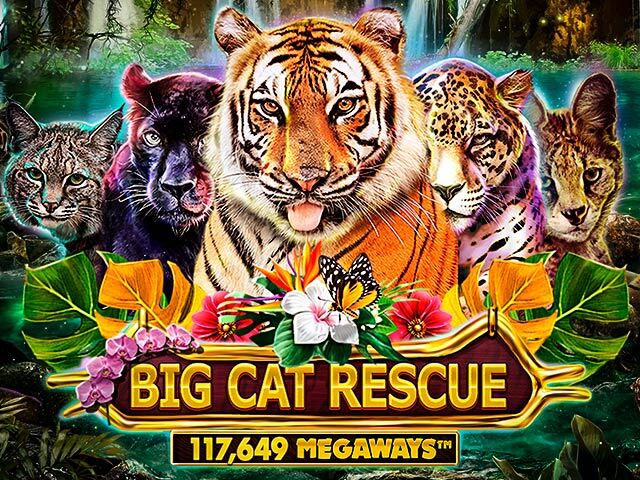 Big Cat Rescue Megaways RedTigerGaming