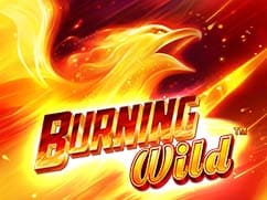 Burning Wild greentube
