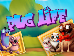Pug Life Hacksaw