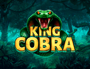 King Cobra booming