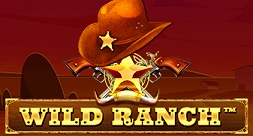 Wild Ranch retrogaming