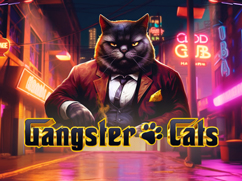 Gangster Cats 5men