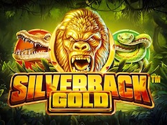 Silverback Gold NetentOSS